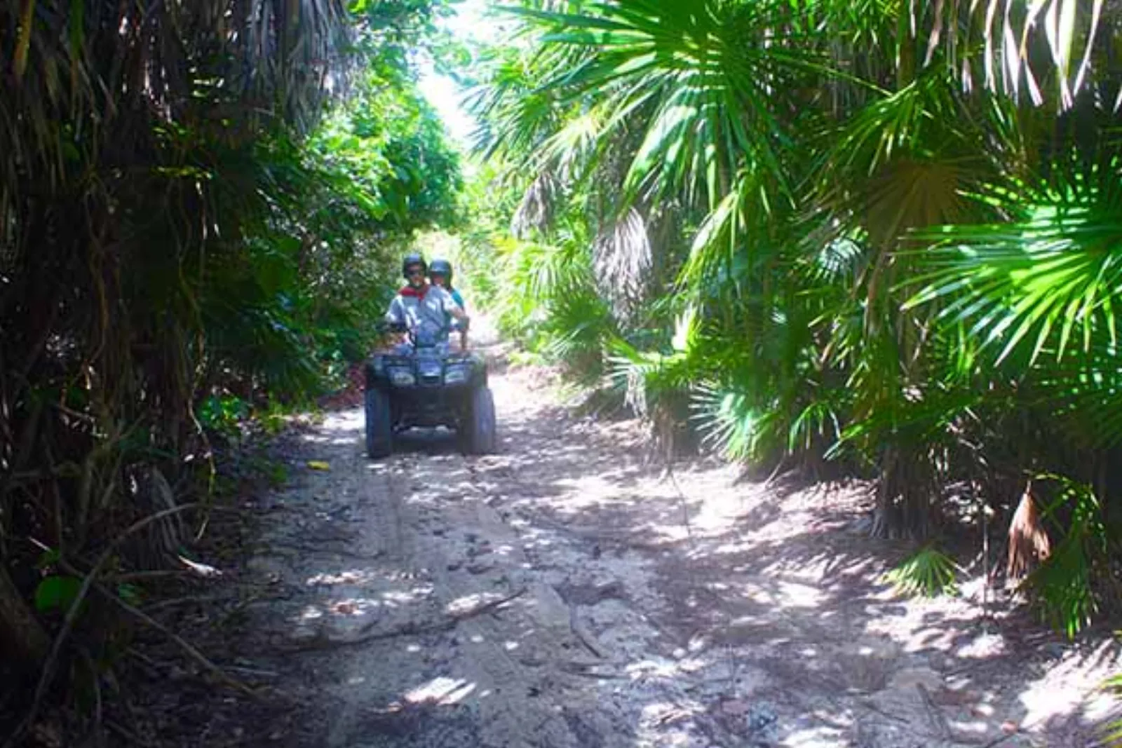 Cozumel ATV Jungle & Reef Adventure - Photo 9