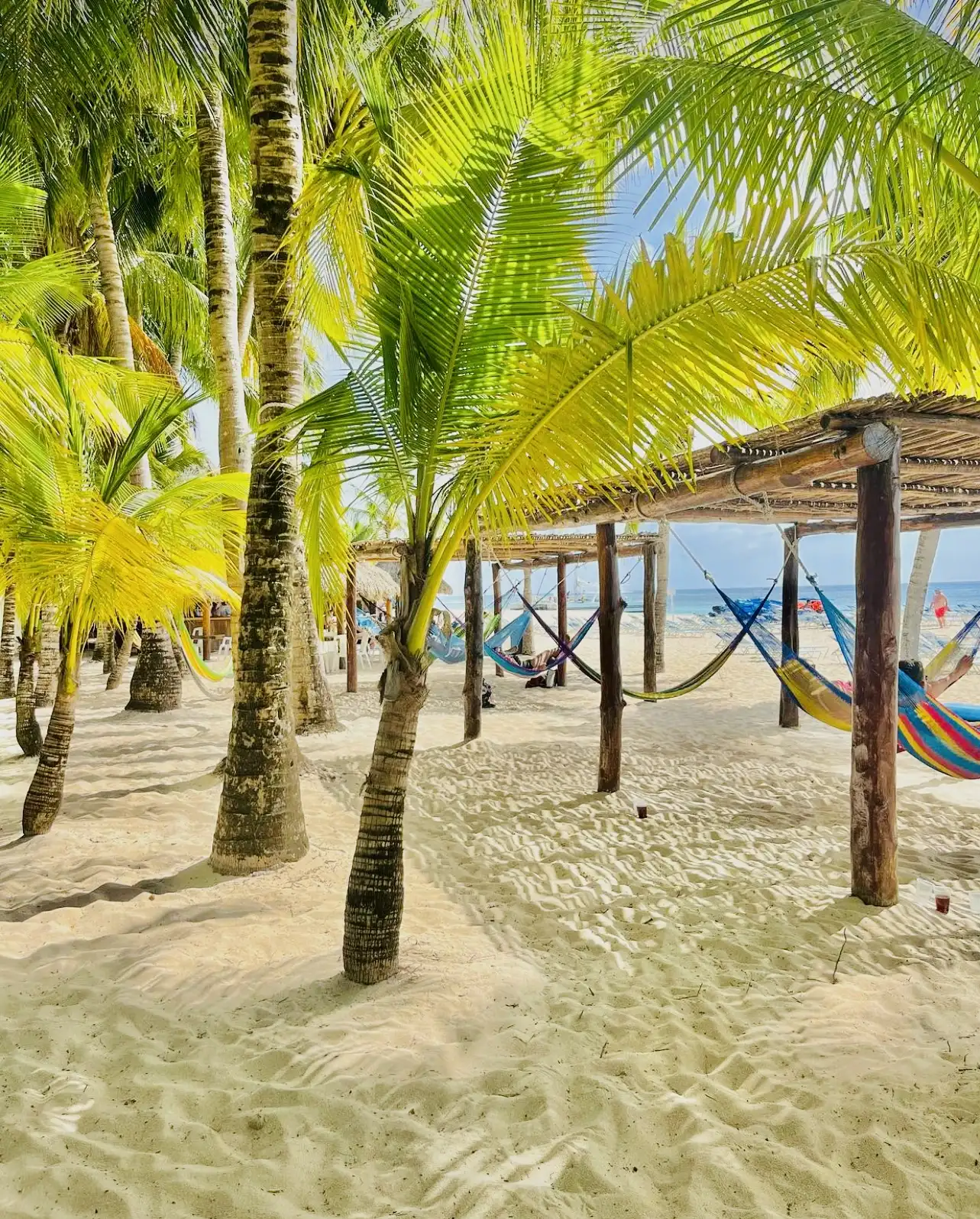 Cozumel East Coast Bar Hop Tour - Photo 4