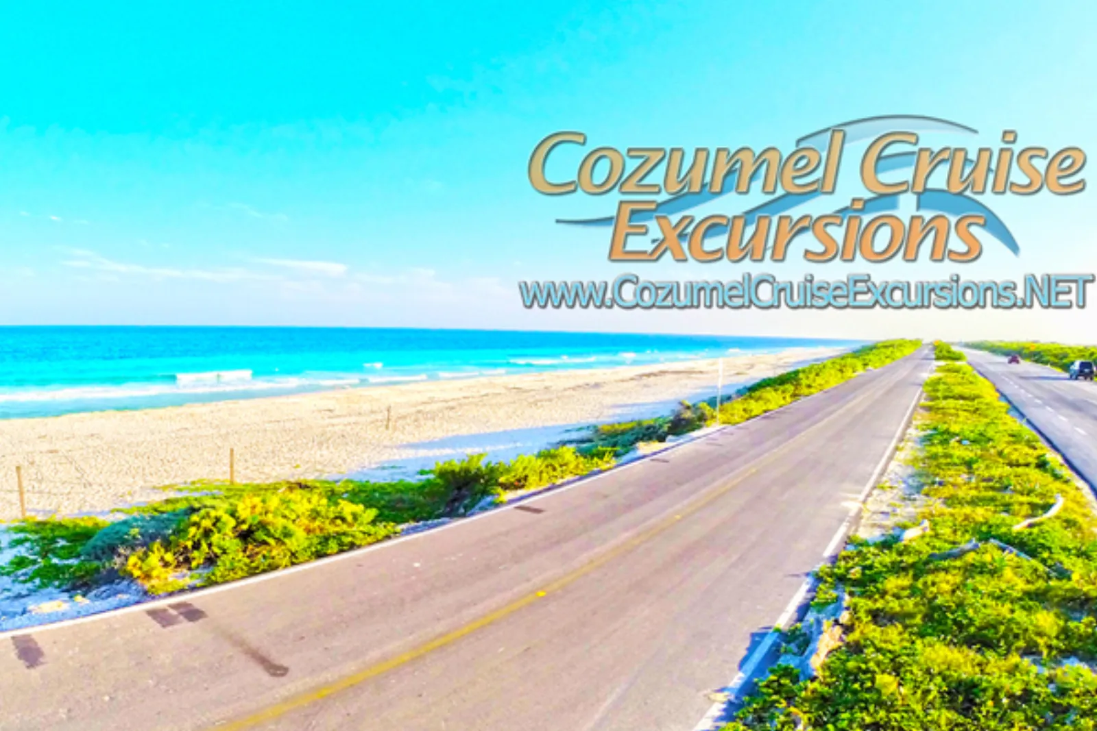 Cozumel East Coast Bar Hop Tour - Photo 9