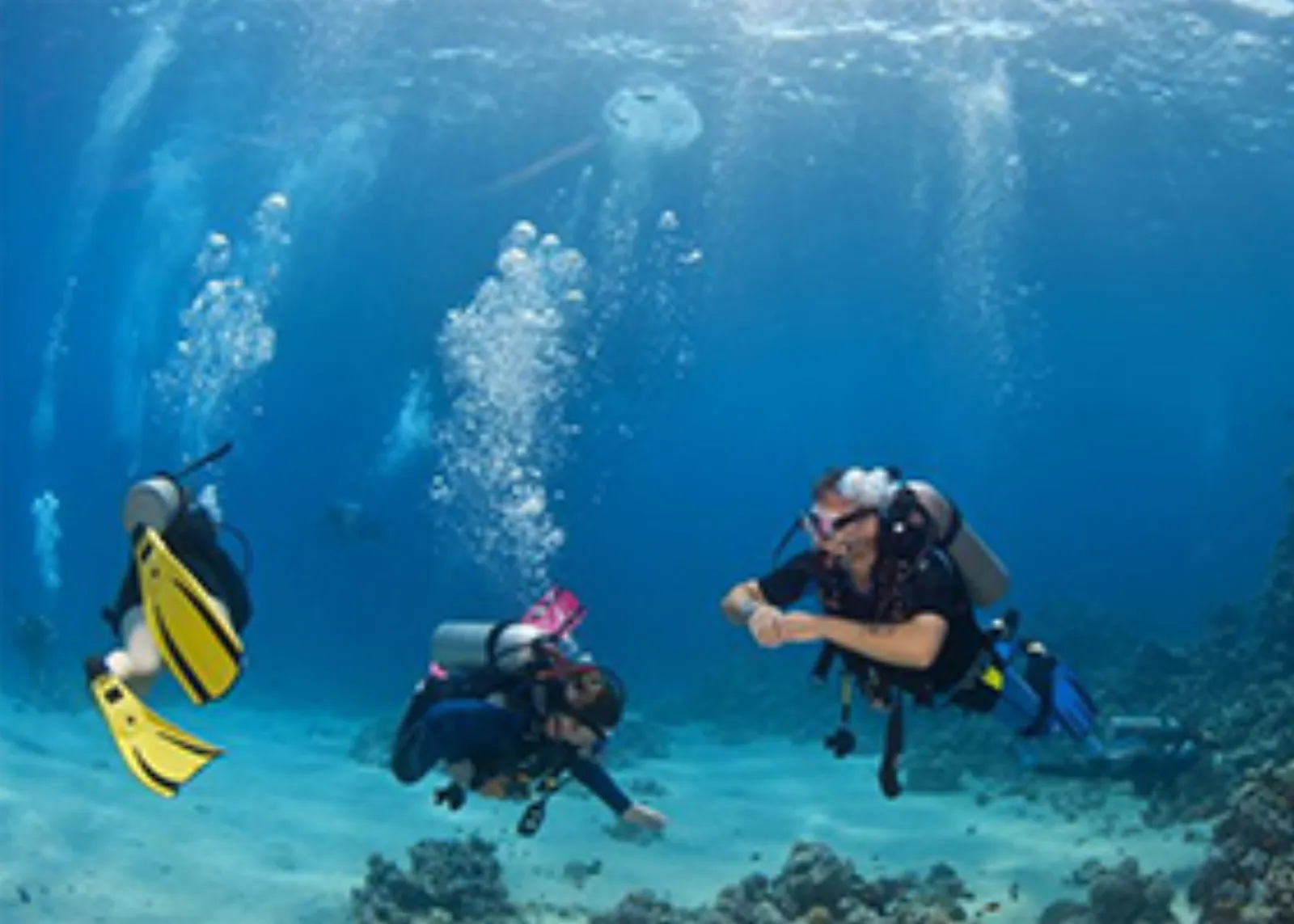 Buceo Privado en Bote para Principiantes en Cozumel