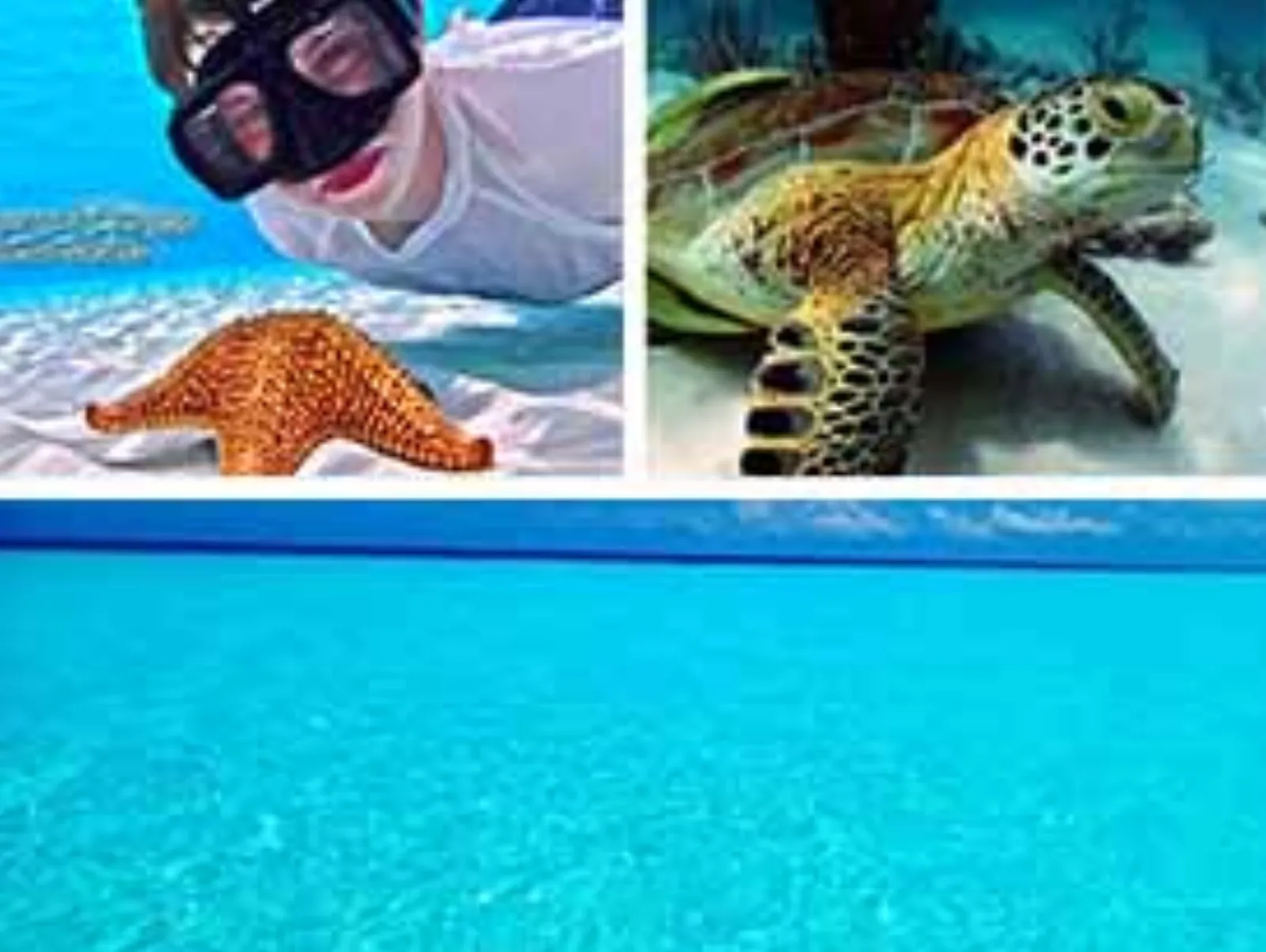 Private Luxury Speed Boat Charter Cozumel - snorkeling cozumel small in Cozumel
