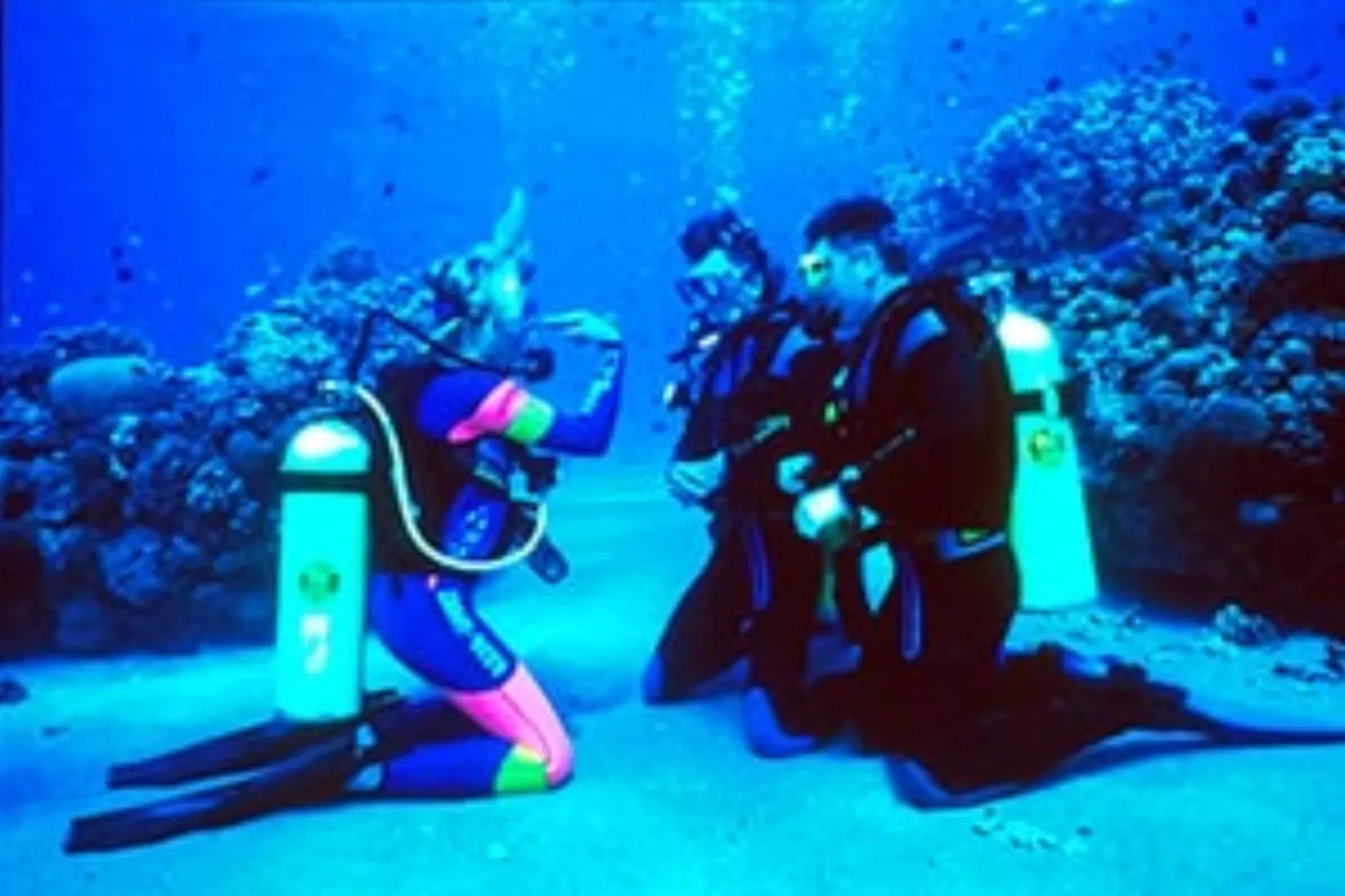 Discover Scuba Diving in Cozumel - cozumel discover scuba in Cozumel