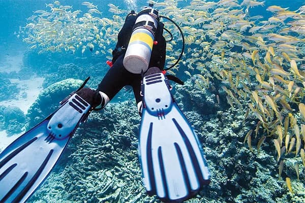 Discover Scuba Diving in Cozumel - introductory to scuba diving cozumel in Cozumel