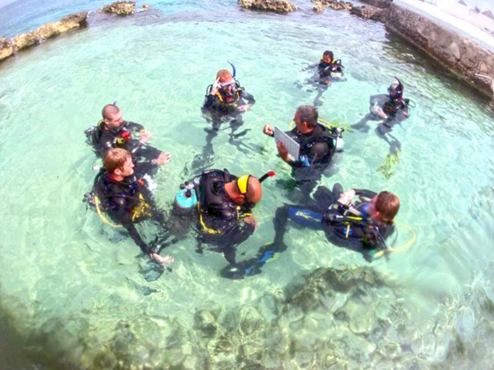 Discover Scuba Diving in Cozumel - learn to dive cozumel in Cozumel
