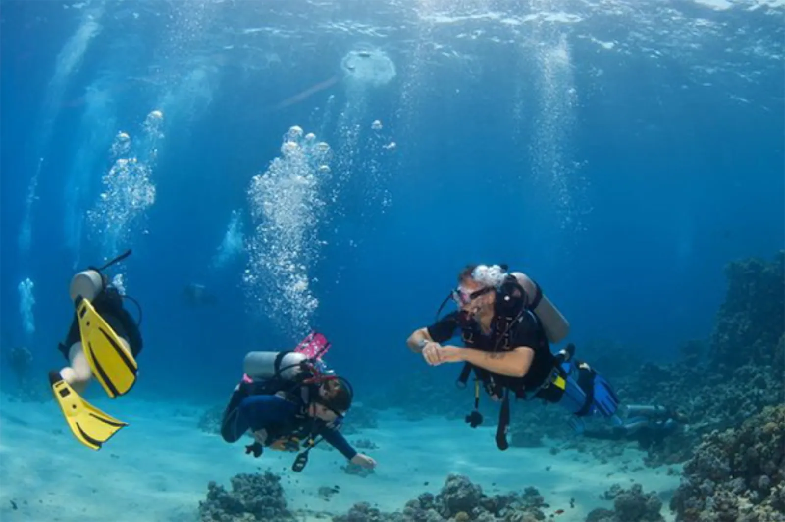 Discover Scuba Diving in Cozumel - learning to dive in cozumel how to dive in Cozumel