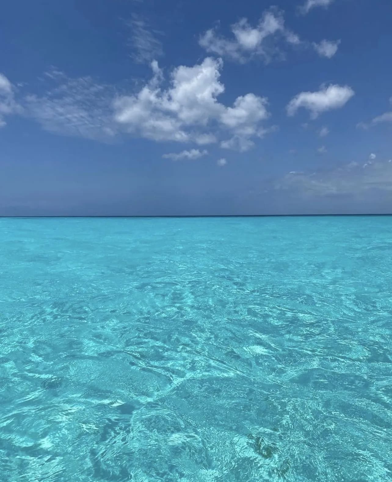 El Cielo Island Snorkeling & Paradise Escape - Photo 6