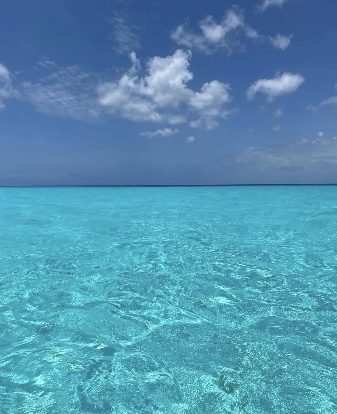 El Cielo Island Snorkeling & Paradise Escape - Photo 6