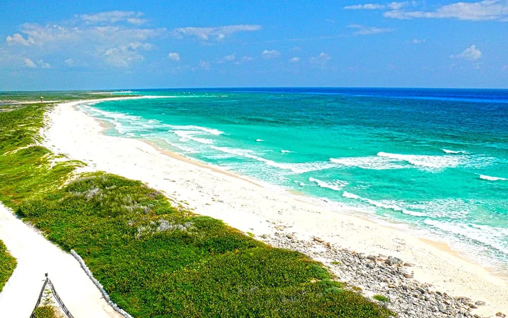 Cozumel Harley Davidson Motorcycle Island Tour - punta sur park cozumel in Cozumel