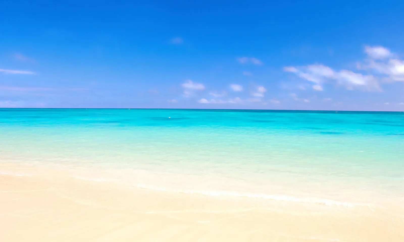 Cruise Port Guide - Cozumel Travel Guide