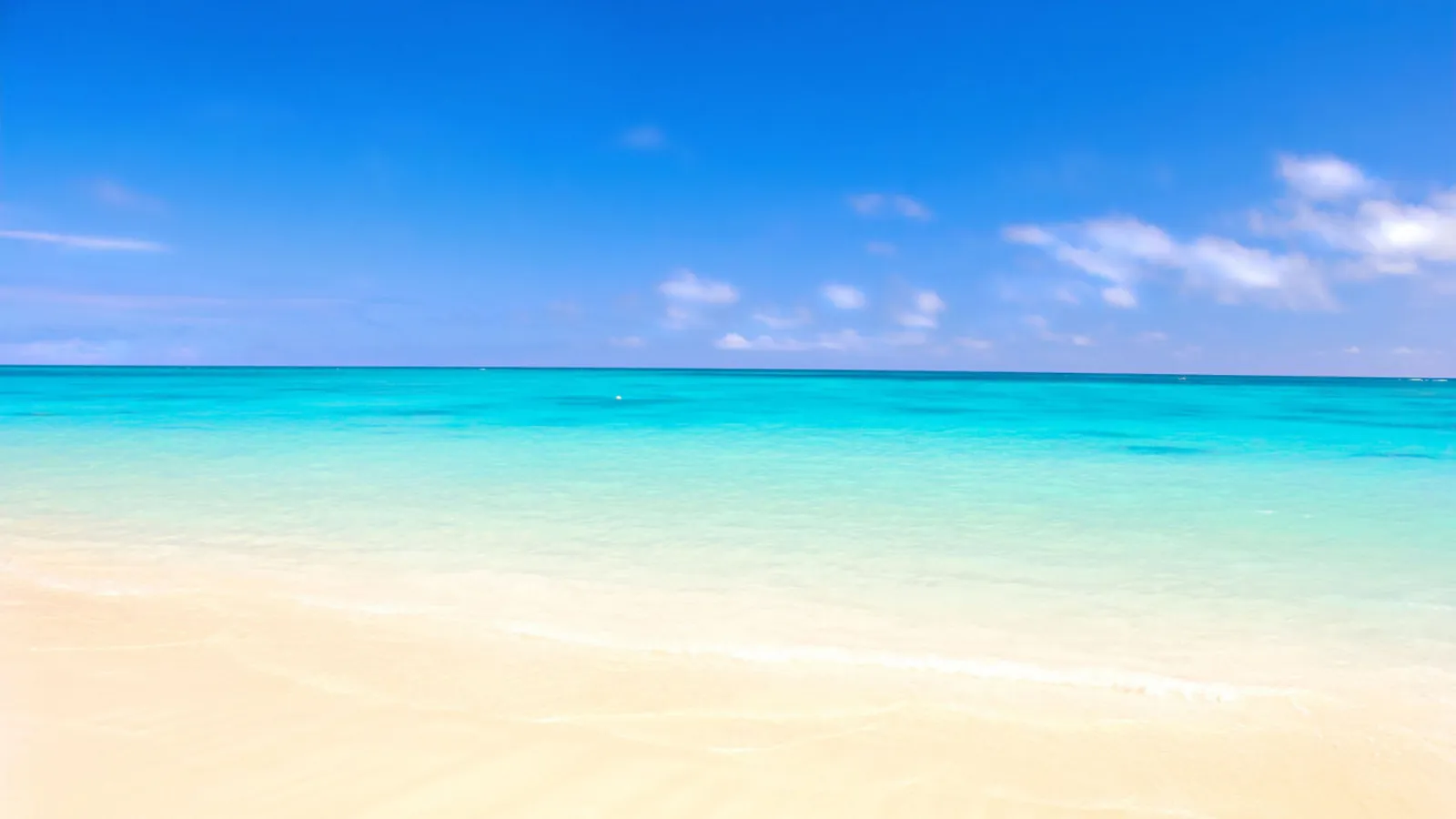 Cozumel excursions by Cozumel Cruise Tours