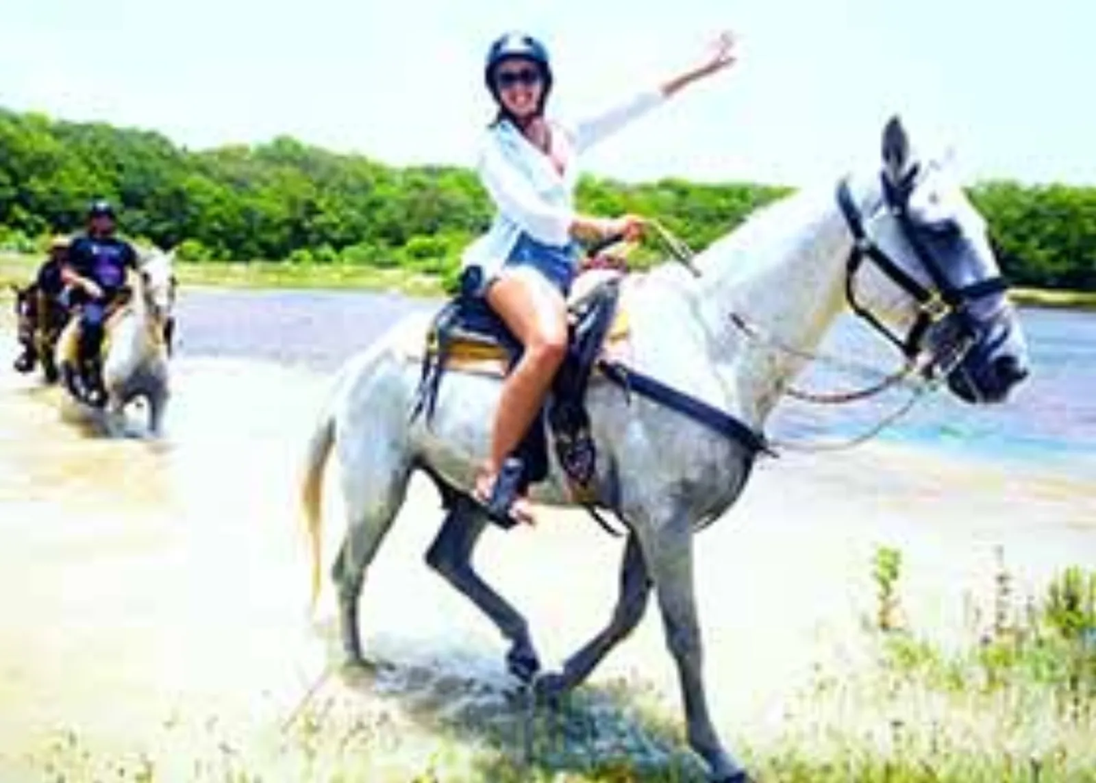 Expedición a Caballo por la Selva de Cozumel