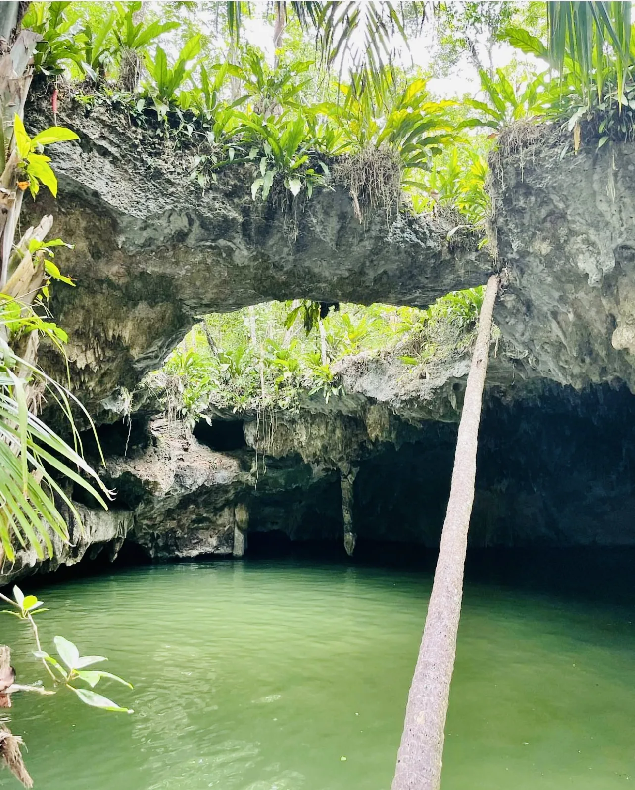 Private Jeep & ATV Jade Cavern Cenote Adventure - Photo 3