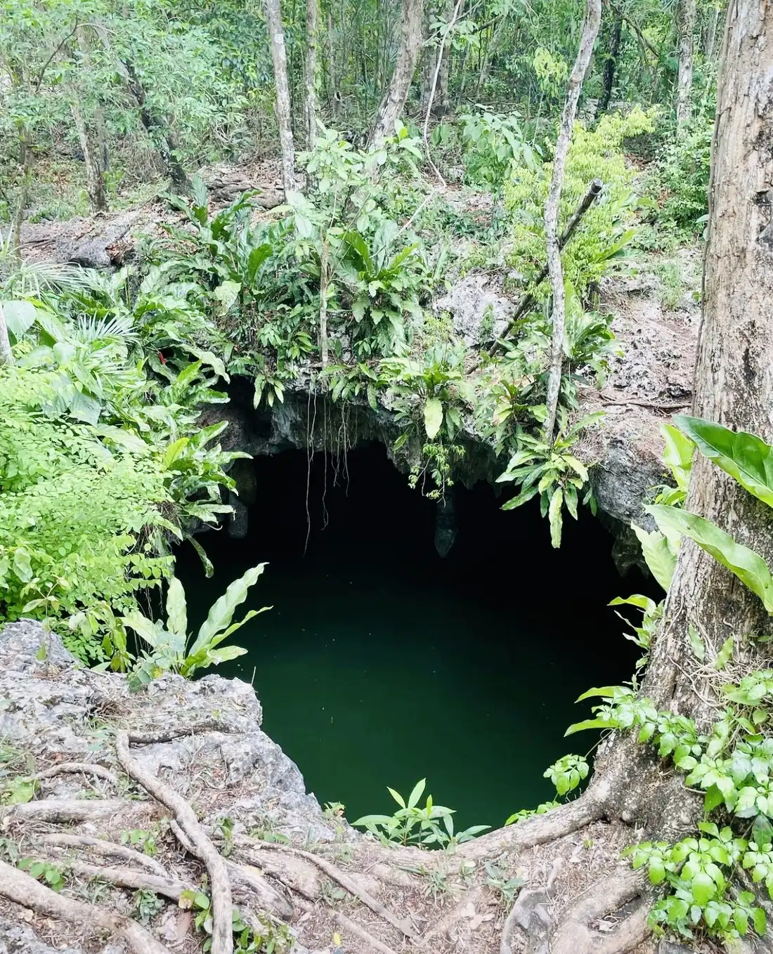 Private Jeep & ATV Jade Cavern Cenote Adventure - cenote jungle opening in Cozumel