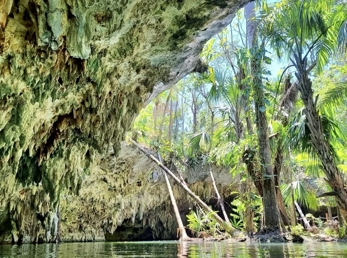 Private Jeep & ATV Jade Cavern Cenote Adventure - Photo 6