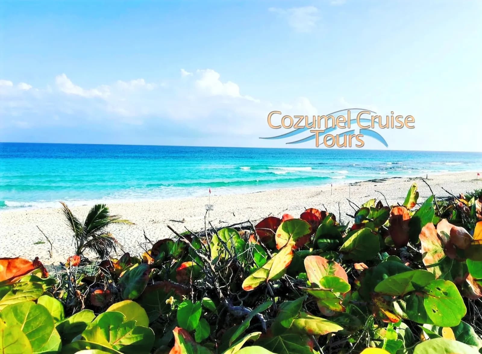 Private Polaris RZR Mayan Ruins Off-Road Adventure - polaris rzr beach ride in Cozumel