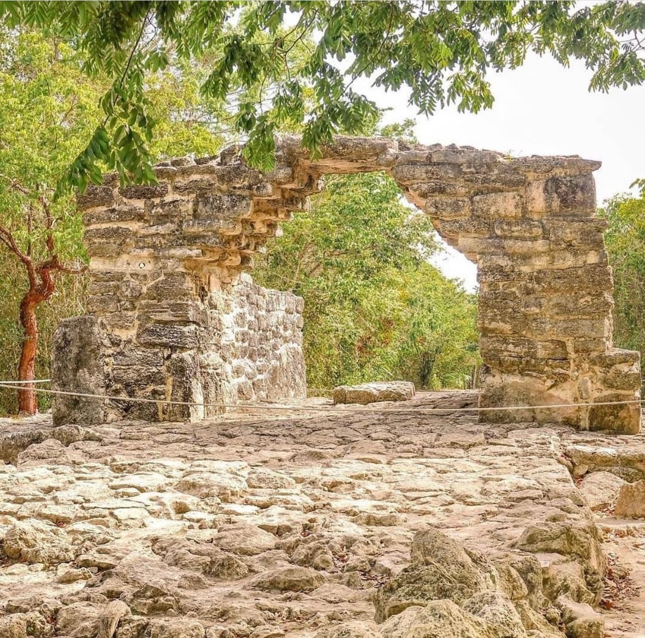 Private Jeep & Polaris RZR Tour - Cozumel shore excursion