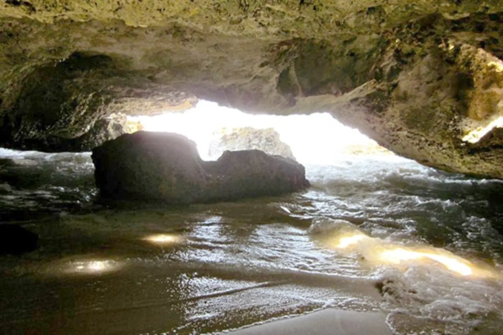 The Wild East Side - Nature & Exploration in Cozumel