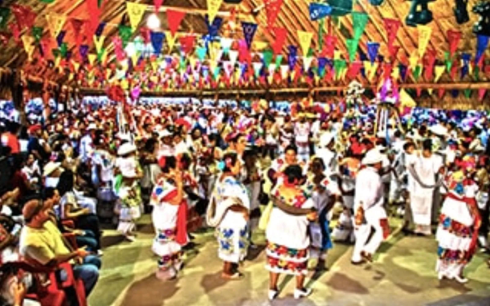 Budget Excursions - Cozumel Travel Guide