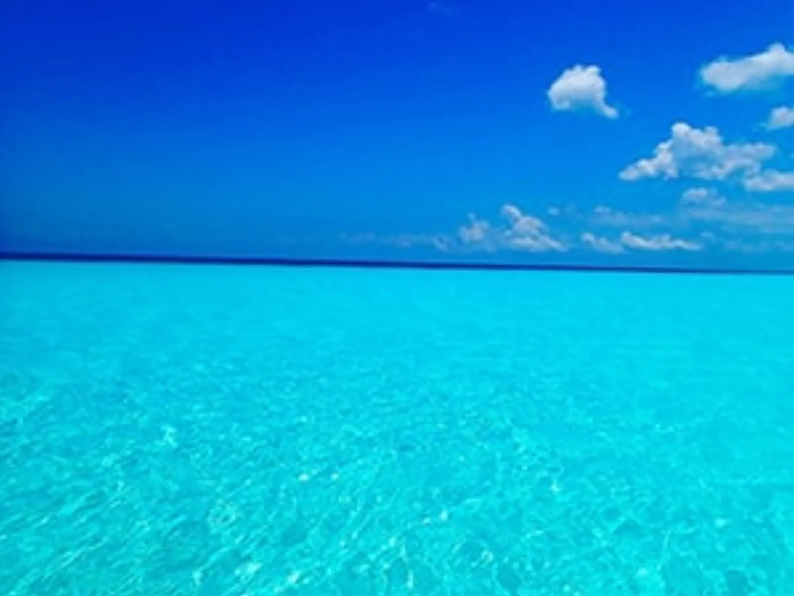 Cozumel Reef Snorkeling Experience - Photo 11