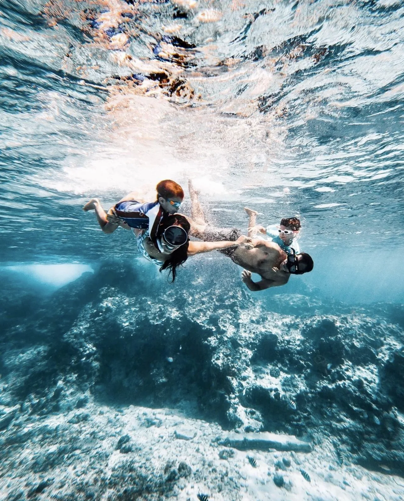 Cozumel Reef Snorkeling Experience - Photo 2